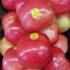 ladyapplecore